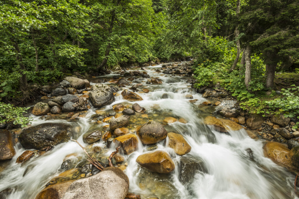 Mountain stream in the Roaring Fork Valley